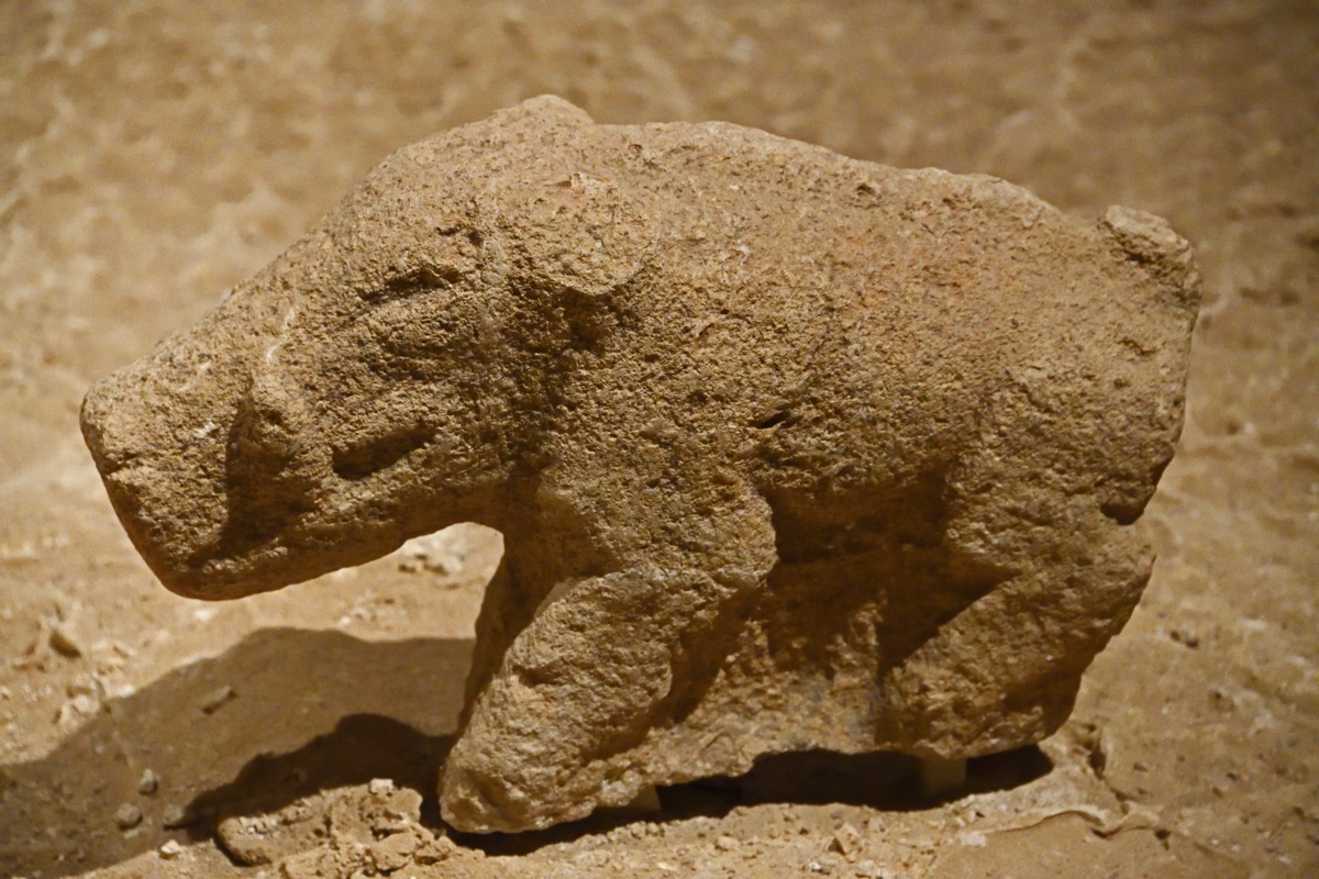 Wild Boar Relief