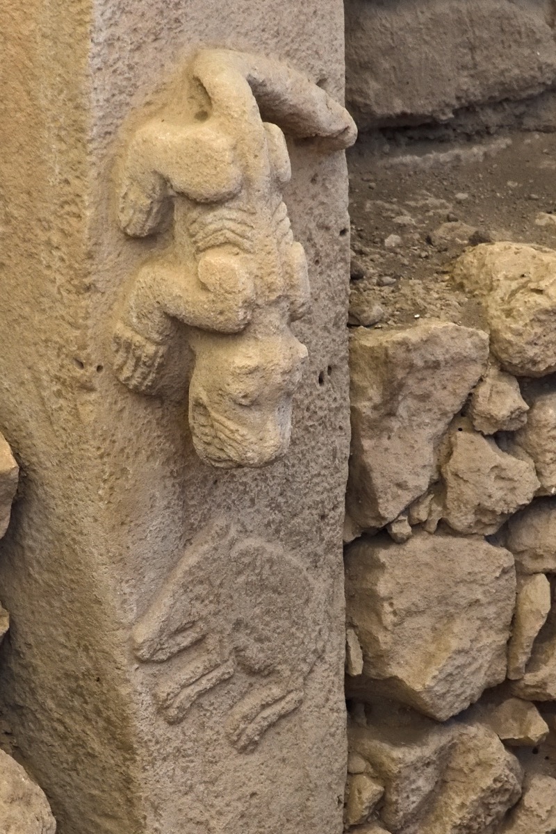 Snake Motifs on Enclosure A